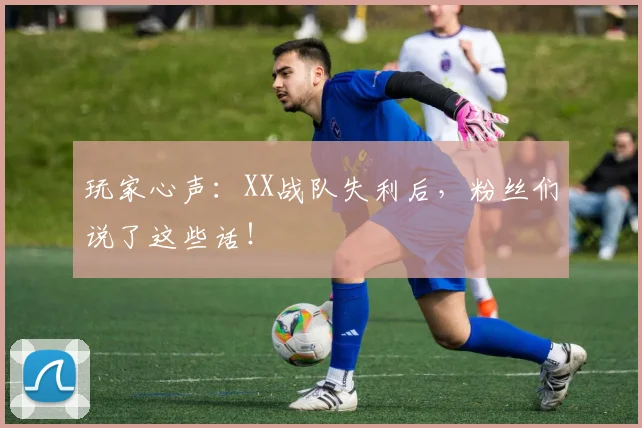 玩家心声：XX战队失利后，粉丝们说了这些话！