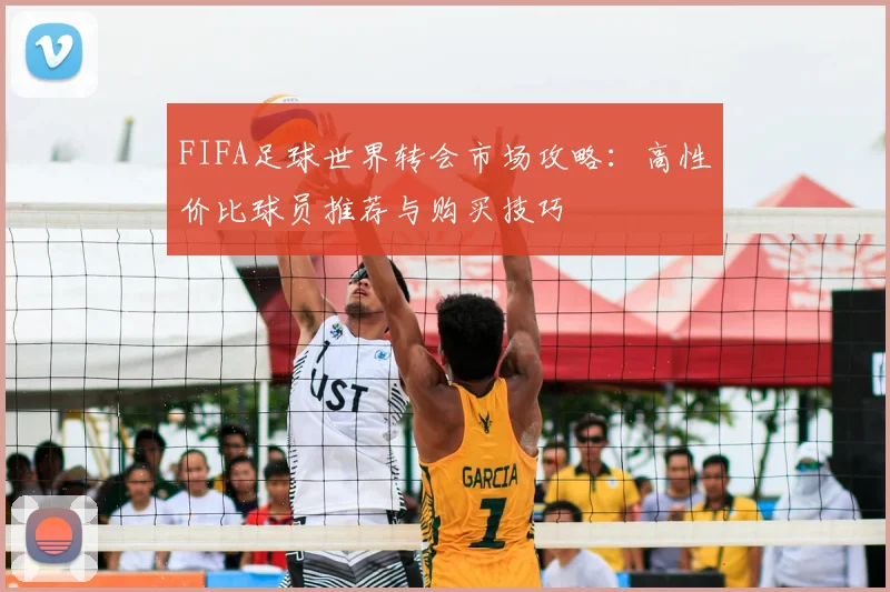 FIFA足球世界转会市场攻略：高性价比球员推荐与购买技巧