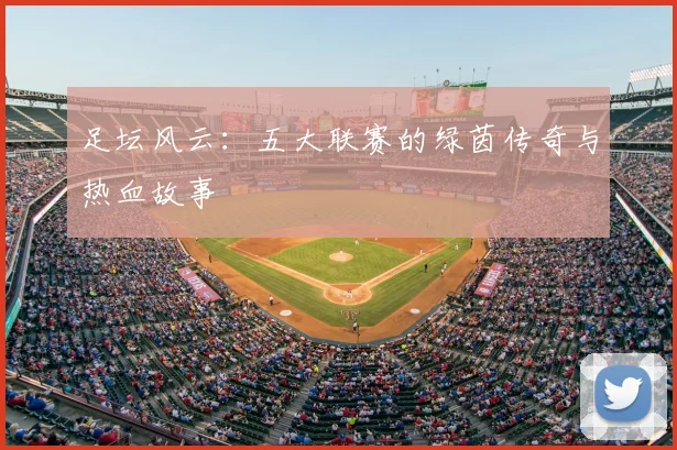 足坛风云：五大联赛的绿茵传奇与热血故事