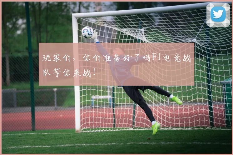 玩家们，你们准备好了吗F1电竞战队等你来战！
