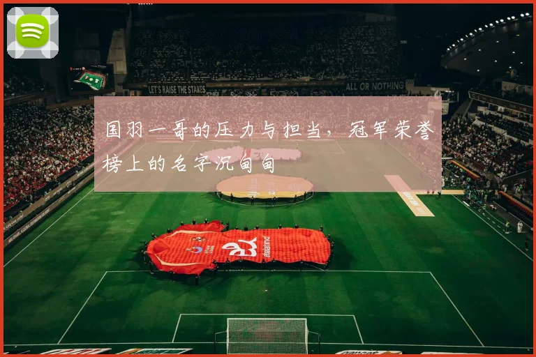 国羽一哥的压力与担当，冠军荣誉榜上的名字沉甸甸