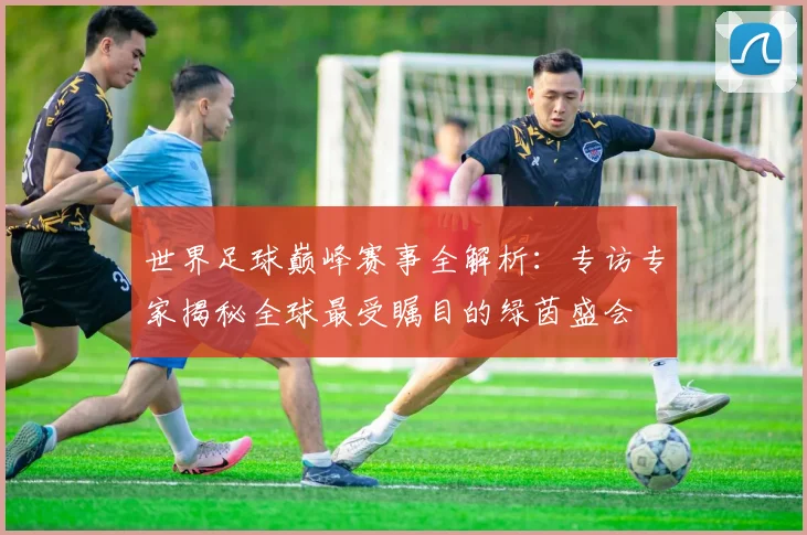 世界足球巅峰赛事全解析：专访专家揭秘全球最受瞩目的绿茵盛会